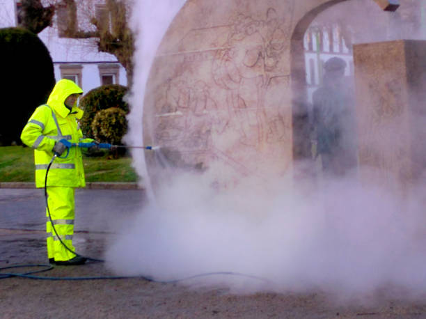 Best House Pressure Washing  in South Fallsburg, NY